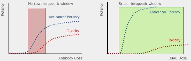 imab_anticancer_therapeutic_window_ganymed