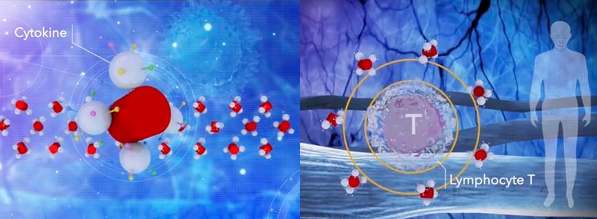 kinoid_neovacs_lupus_world_biotech_erythmatosus_autoimmune_cytokine