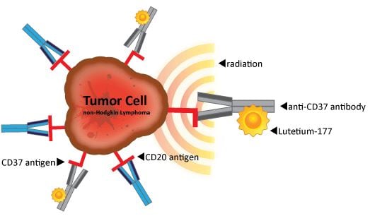 lymphoma_nordic_nanovector_blood_cancer