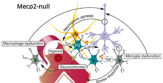 mecp2-null_rett_syndrome_physiology_symptoms