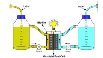 mfc_microbial_fuel_cell_urine_electricity