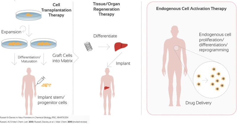 oxstem_stem_cell_therapy_transplant_chemistry