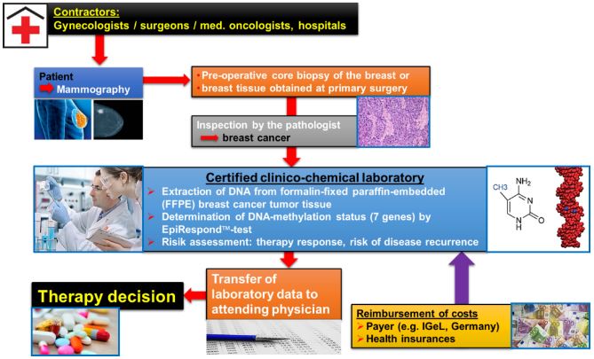 therawis_pitx2_breast_cancer_chemotherapy_qiagen