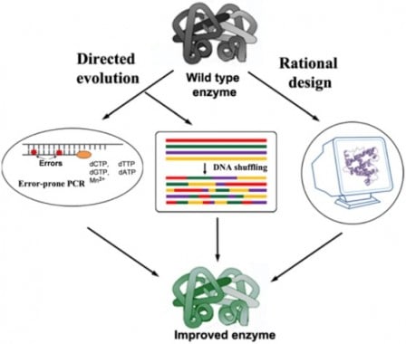 tum_biocatalysis_synthetic_enzymes