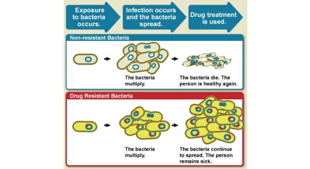 antibiotic_resistance_infection_allecra_aai202