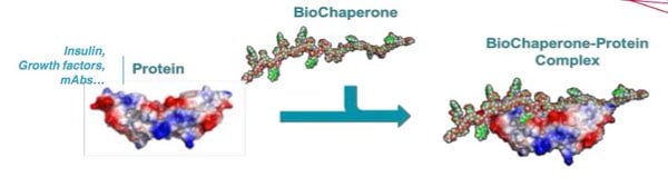 biochaperone_adocia_insulin_biotech_diabetes_review