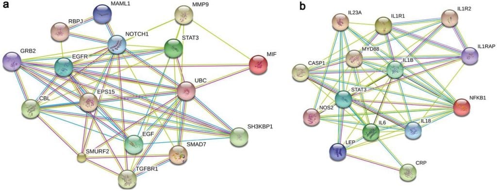 depression_biomarkers_mif_interleukin1beta_diagnostic