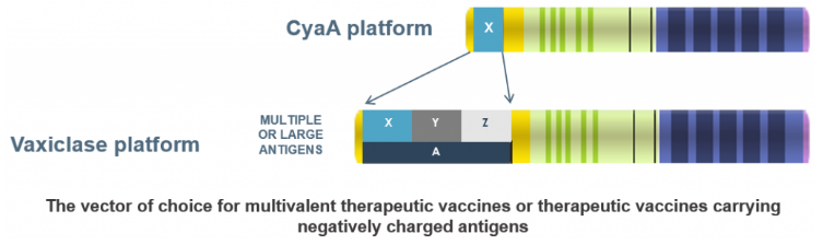 genticel-vaxiclase_hpv)vaccine_biotech_cancer