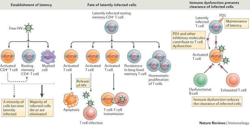 hiv latency viral reservoirs gilead hiv cure