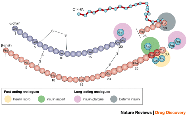 insulin_analogues_diabetes_review_glucose