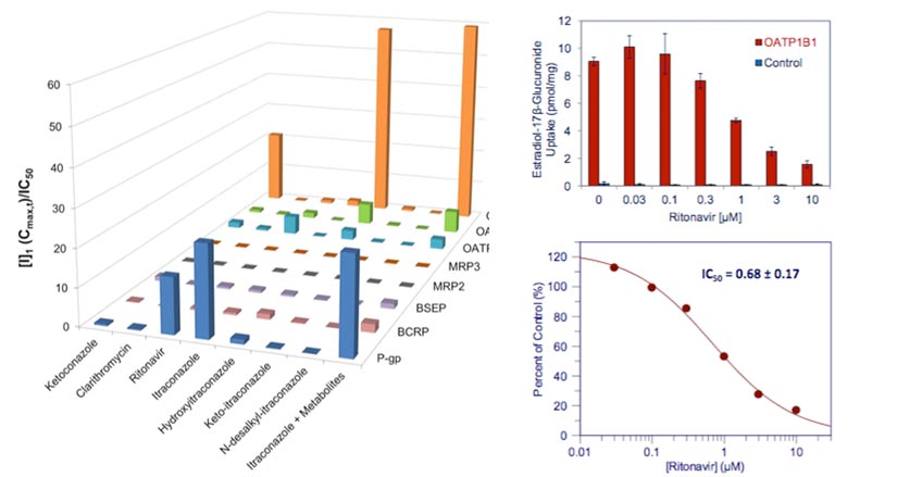 ketoconazole_biotech_sekisui_xenotech_ddi_transporters