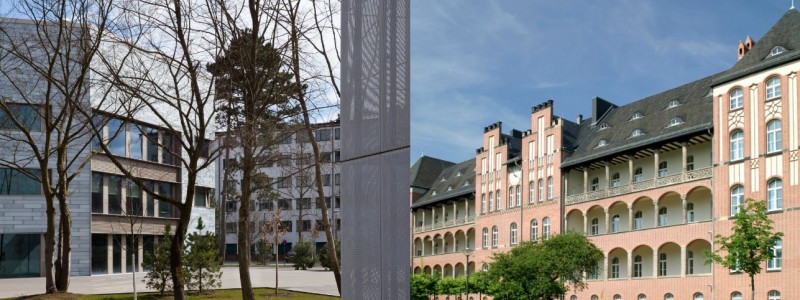 medigene tcr biotech