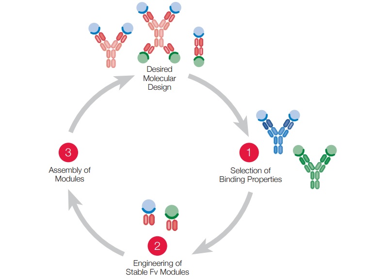 numab_ultra_throughput_multi-specific_antibodies