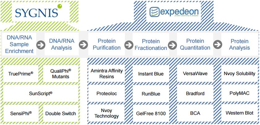 sygnis_dna_rna_expedeon_protein