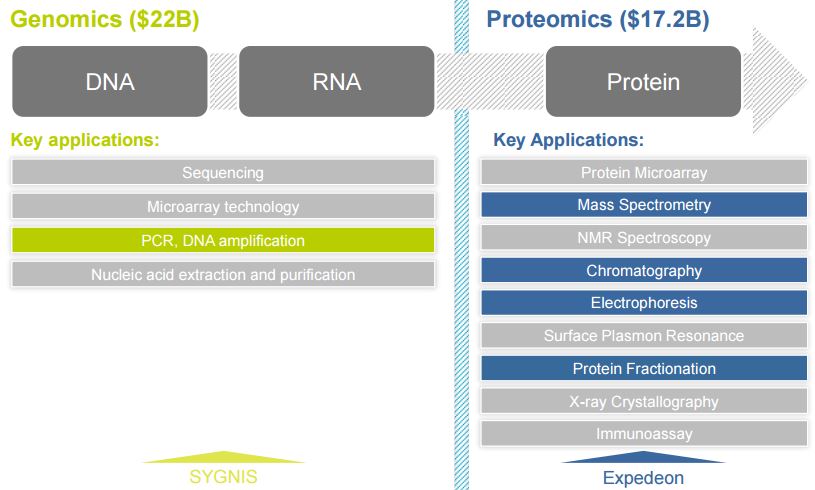 The different procedures in genomics and proteomics that Sygnis and Expedeon target. (Source: Sygnis/Expedeon)