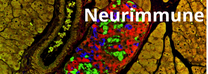 zurich_biotech_neuroimmune_alzheimer_parkinson