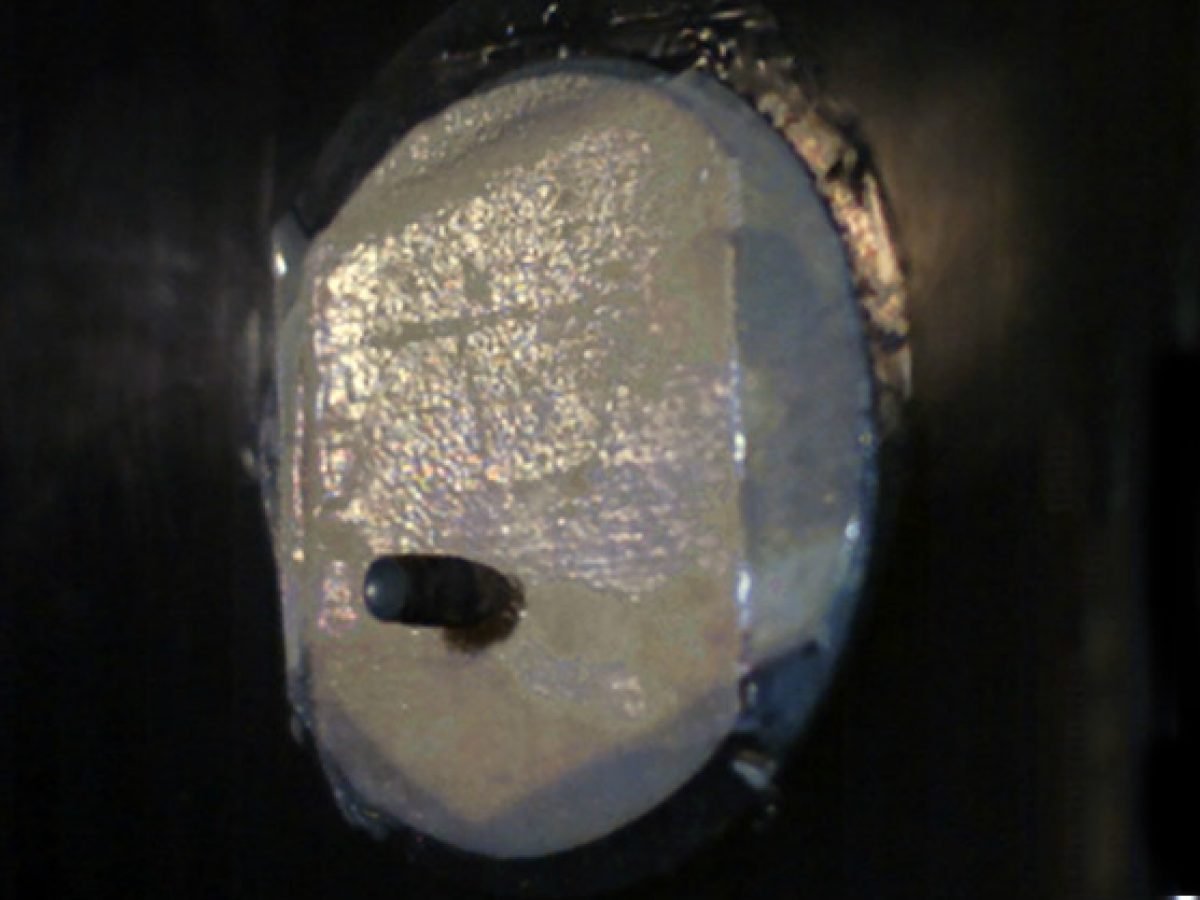 Spider Goats Body Armor edu.svet.gob.gt