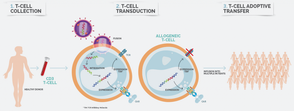 Celyad CAR-T Cancer Cell Therapy ONO