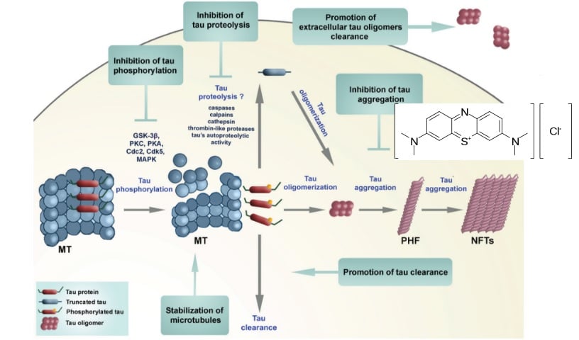 alzheimer's tau tangles drug targets methylene blue