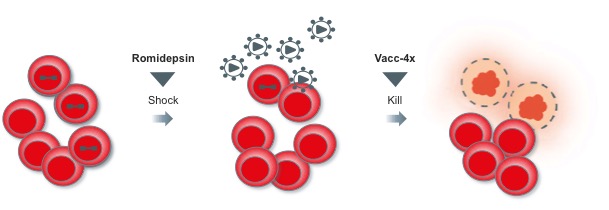 Bionor HIV cure biotech vaccine