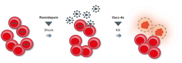 Bionor HIV cure biotech vaccine 