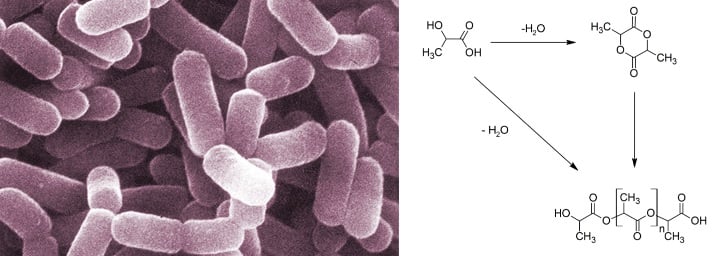 bioplastic polylactic acid pla fermentation chemistry