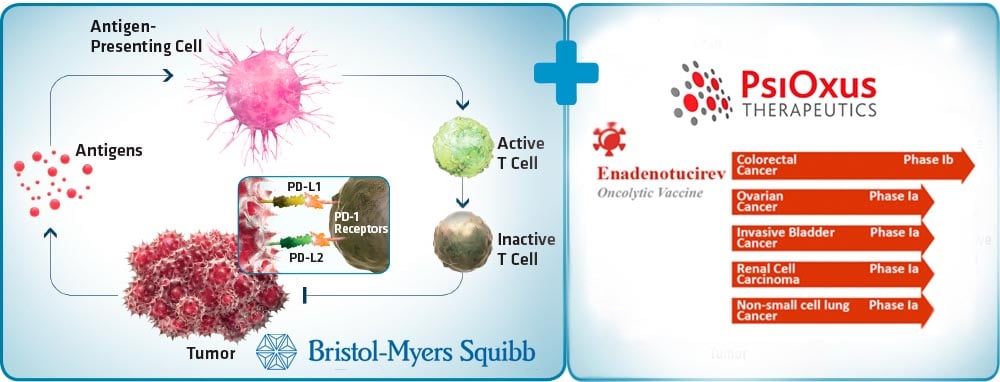 PsiOxus bms enadrenotucirev opdivo cancer