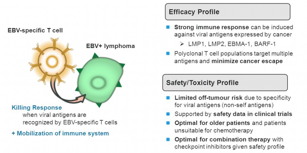 Cell Medica delenex car cbv 003