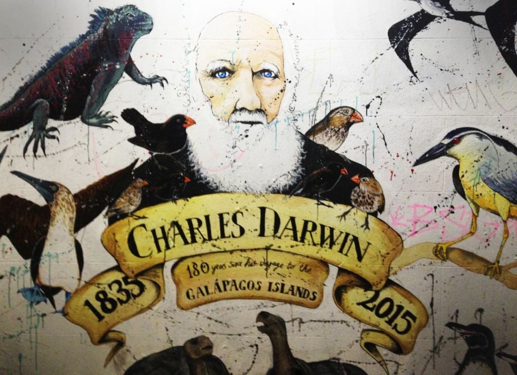 charles darwin bristol graffiti origin species bioart simon park e1467992003422