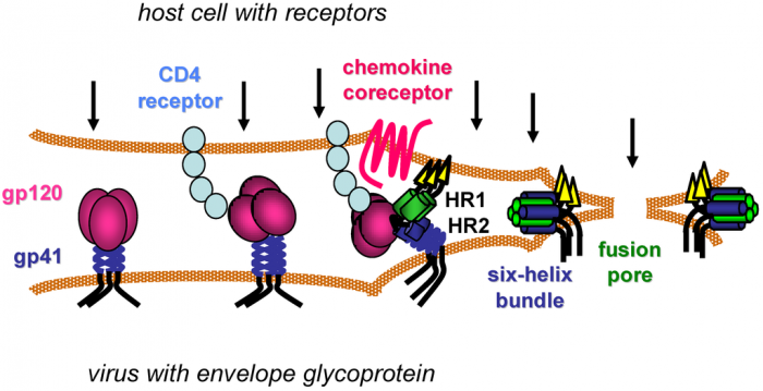 hiv vaccine rv144 hvtn702 gp120 gsk