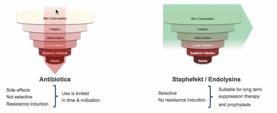 Micreos antibiotic mrsa staphefekt endolysin