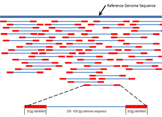 next generation sequencing oxford nanopore