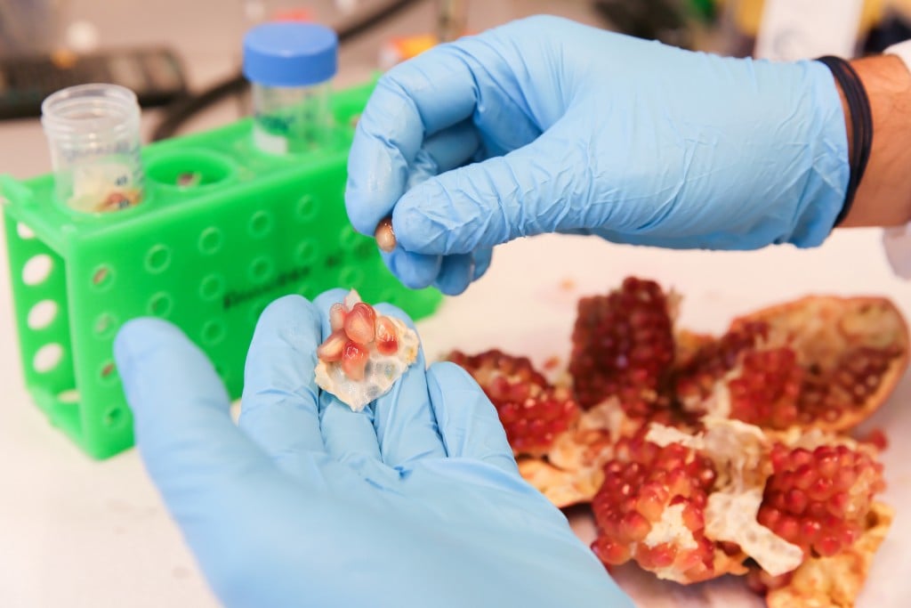 Pomegranate EPFL amazentis biotech