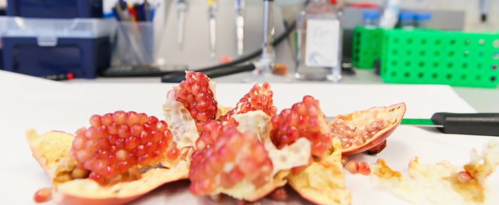 Amazentis pomegranate urolithin epfl biotech