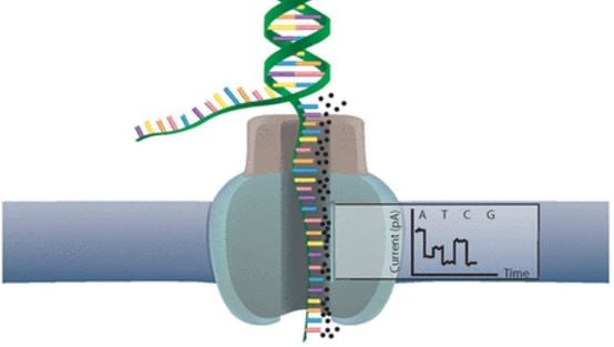 selective nanopore sequencing minion nottingham