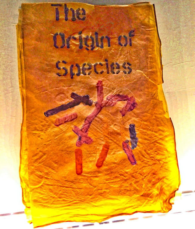 Simon Park BioArt bacteria book cellulose origin species