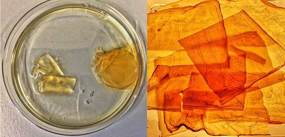 Simon park bioart cellulose