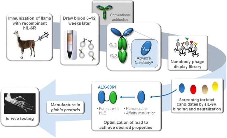 anti-il-6R alx0061 nanobody vobarilizumab rheumatism