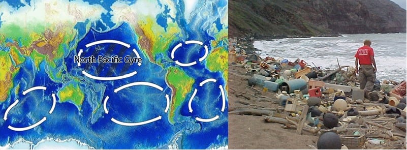 bioplastics biodegradable plastics pacific garbage patch