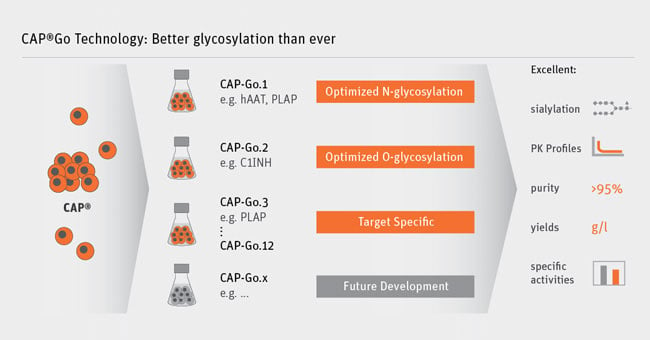 cap-go glycolysation recombinant expression cevec