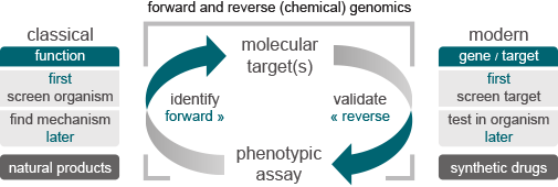 entrechem drug discovery modern target classical function