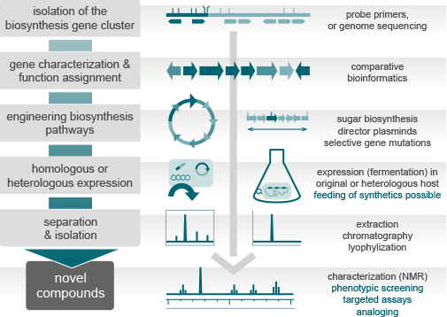 entrechem natural drug discovery metabolic engineering