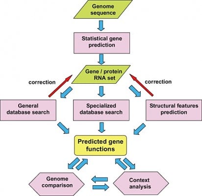 genome annotation immune system macrophages