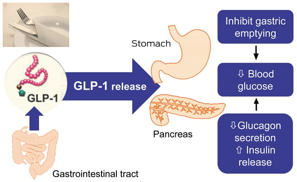 glp-1 insulin combination ideglira iglarlixi