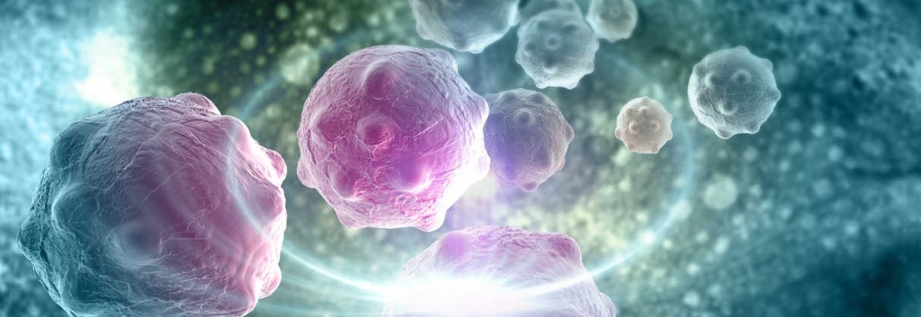 immuno oncology history t cell therapy