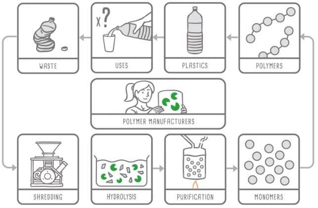 plastic recycling biotech enzymes carbios