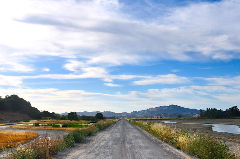 Figure 1. Hamilton, Novato, California, is where Raptor is headquartered.