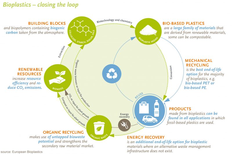 Sustainable and green economy - bioplastics