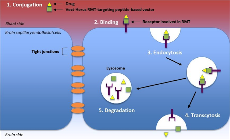 Figure 3. Mechanism