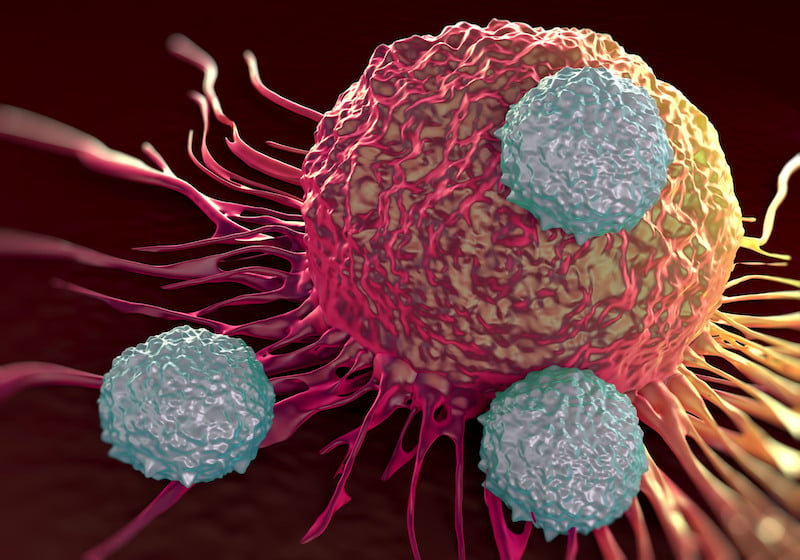 Figure 1. T cells attacking a cancer cell.